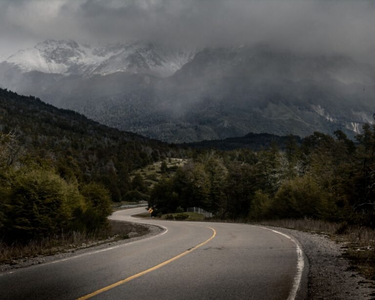Camino curvo entre bosque verde y montañas nevadas envueltas en niebla
